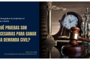 qué evidencia necesito para una demanda
