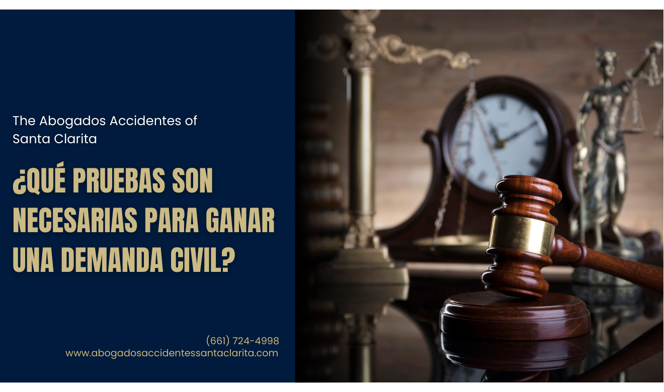 qué evidencia necesito para una demanda