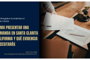 qué evidencia necesito para demanda Santa Clarita